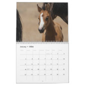 Calendrier MustangWild 2026 "Wild Babies" Calendar (Jan 2026)