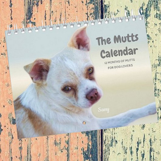 Calendrier Mutts Pour Les Amoureux de les chiens