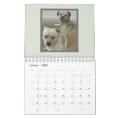 Calendrier Mutts Pour Les Amoureux de les chiens (Jan 2027)
