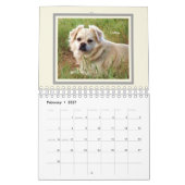 Calendrier Mutts Pour Les Amoureux de les chiens (Feb 2027)