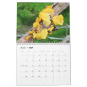 Calendrier Mycélium, champignons et champignons (Mar 2027)