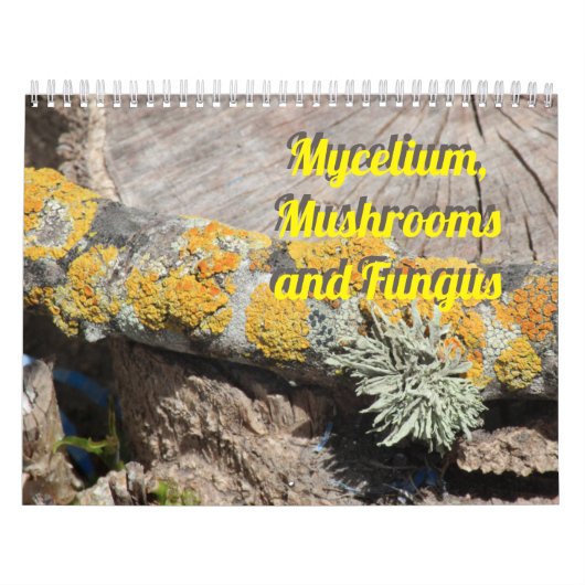 Calendrier Mycelium, Mushrooms and Fungus (Protection)