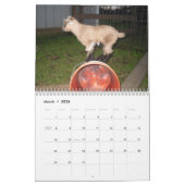 calendrier nain nigérien de la chèvre 2014 (Mar 2026)