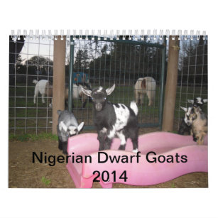 calendrier nain nigérien de la chèvre 2014