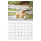 Calendrier Nala Shih Tzu Chiot le Plus Mignon (Feb 2027)