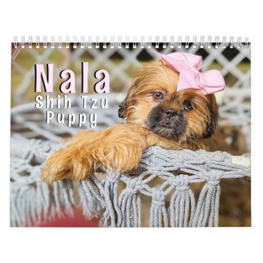 Calendrier Nala Shih Tzu Cutest Puppy (Protection)