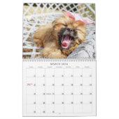 Calendrier Nala Shih Tzu Cutest Puppy (Mar 2026)