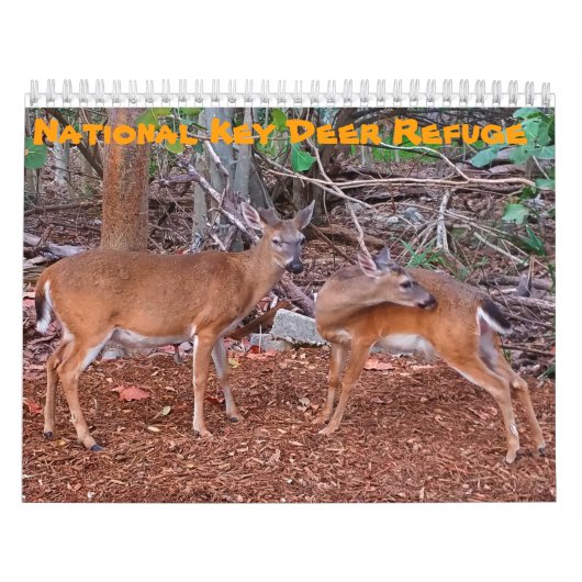 Calendrier National Key Deer Refuge (Protection)
