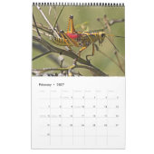 Calendrier Native Florida 2026 (Feb 2027)