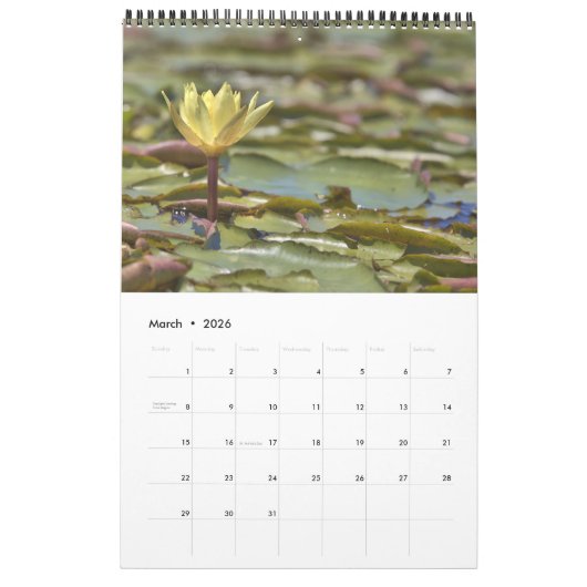 Calendrier Native Florida 2026 (Mar 2026)