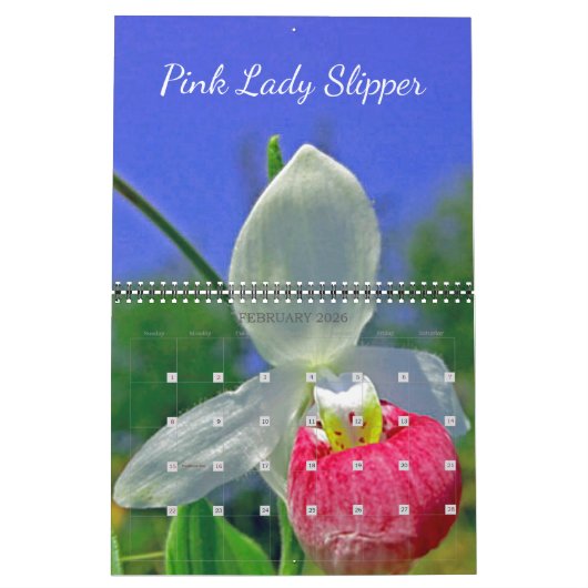 Calendrier Native Garden 2021 (Feb 2026)