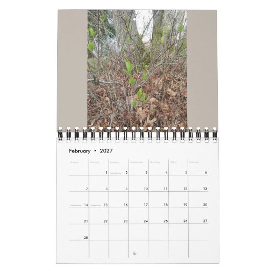 Calendrier Native Plants - Pacific northwest (Feb 2027)