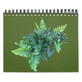 Calendrier Native Plants - Pacific northwest (Protection)