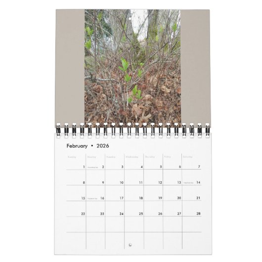 Calendrier Native Plants - Pacific northwest (Feb 2026)