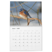 Calendrier Nature And Animals Photography (Mar 2027)