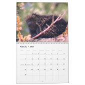 Calendrier Nature And Animals Photography (Feb 2027)