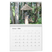 Calendrier nature cascade image ajouter votre texte 2025 cont (Jan 2026)