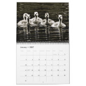Calendrier Nature en noir et blanc (Jan 2027)