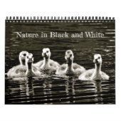 Calendrier Nature en noir et blanc (Protection)