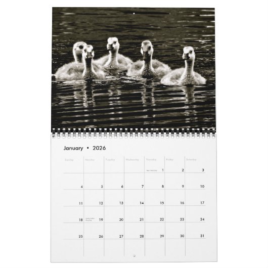 Calendrier Nature en noir et blanc (Jan 2026)