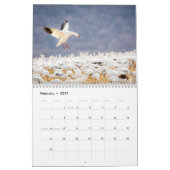 Calendrier Nature et paysage 2021 (Feb 2027)
