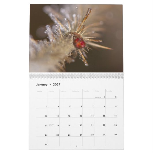 Calendrier Nature inspired 2026 calendar (Jan 2027)