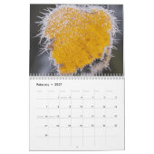 Calendrier Nature inspired 2026 calendar (Feb 2027)