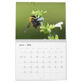 Calendrier Nature Journey Calendar (Mar 2026)