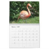 Calendrier Nature Journey Calendar (Feb 2027)