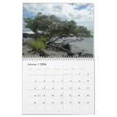 Calendrier nature of the Tortues d'eau douce (Jan 2026)