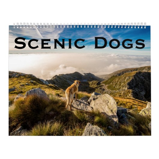 Calendrier Nature pittoresque de chiens (Protection)