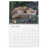 Calendrier Nature. Plantes et paysage par le jardin de Dave (Jan 2026)