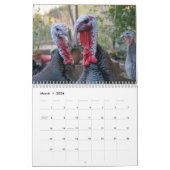 Calendrier Nature sauvage Turquie (Mar 2026)