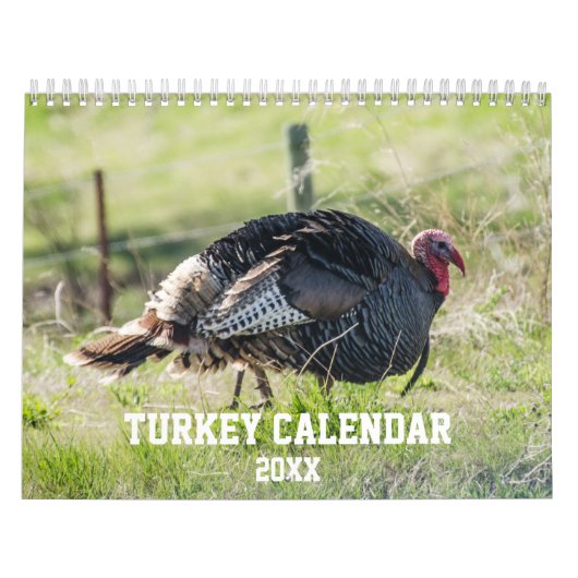 Calendrier Nature sauvage Turquie (Protection)