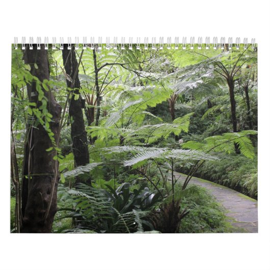 Calendrier Nature Sri Lanka 2025 (Protection)