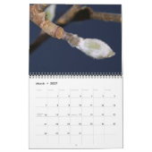 Calendrier naturel 2015 (Mar 2027)
