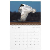 Calendrier naturel 2020 (Jan 2026)