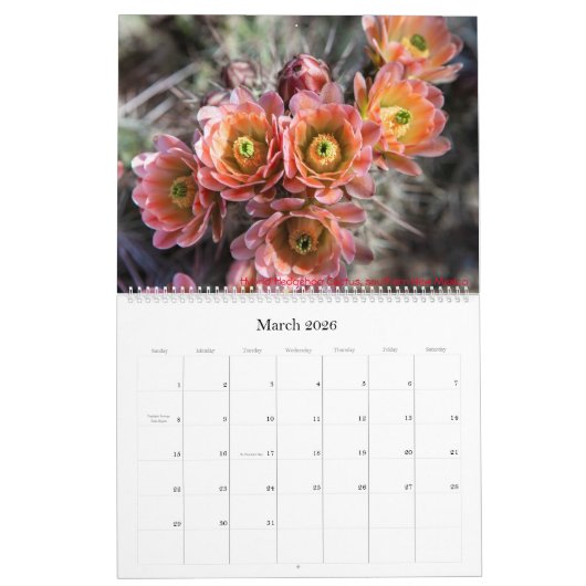 Calendrier naturel 2021 (Mar 2026)