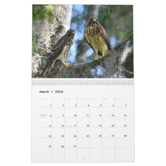 Calendrier naturel 2026 (Mar 2026)