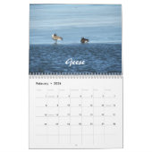 Calendrier naturel d'Adirondack (Feb 2026)