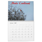 Calendrier naturel d'Adirondack (Jan 2027)