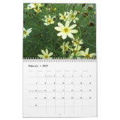 Calendrier naturel de la merveille 2010 (Feb 2027)