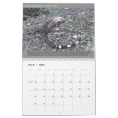 Calendrier naturel des Arts numériques 3D 2020 (Mar 2026)