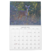 Calendrier naturel des cerfs sauvages (Jan 2026)
