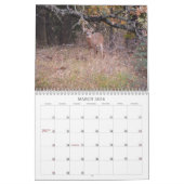 Calendrier naturel des cerfs sauvages (Mar 2026)