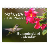 Calendrier Nature's Little Miracles Hummingbirds (Protection)