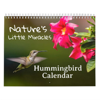 Calendrier Nature's Little Miracles Hummingbirds