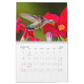 Calendrier Nature's Little Miracles Hummingbirds (Feb 2026)