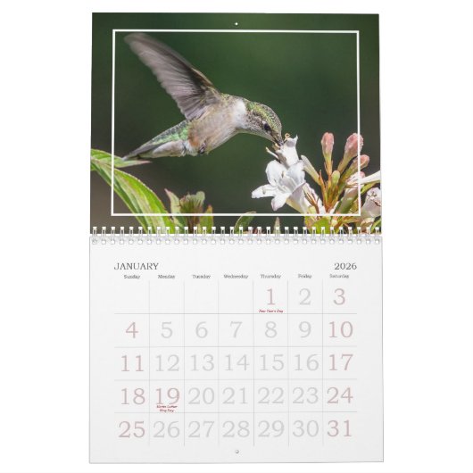Calendrier Nature's Little Miracles Hummingbirds (Jan 2026)
