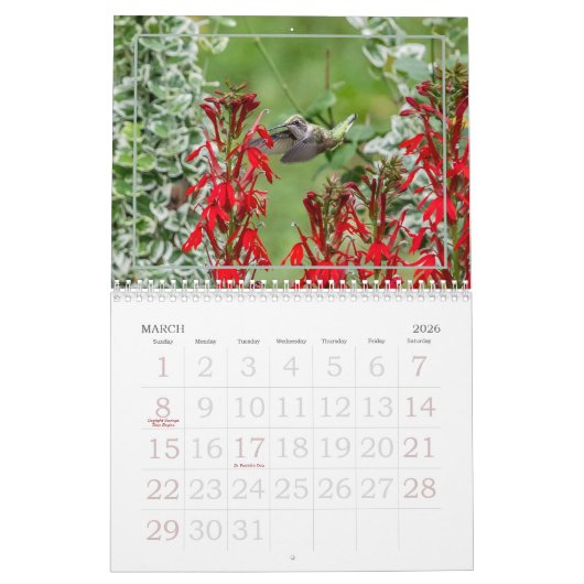 Calendrier Nature's Little Miracles Hummingbirds (Mar 2026)